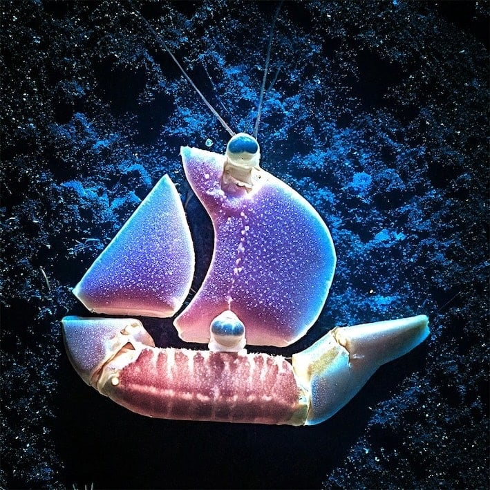 OpenSea’s Trading Activities Soar Following Announcement to Revamp Platform