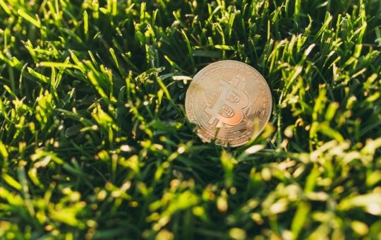 Exhausted? Hodl BTC and Touch Grass