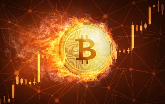 OKX Ventures Backs Blum: Telegram-Based Trading App Expands in the TON Ecosystem