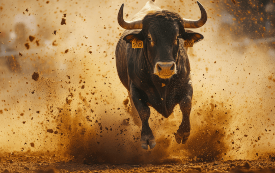 Bitcoin Bulls Roar: $43M in Short Positions Liquidated in 4 Hours