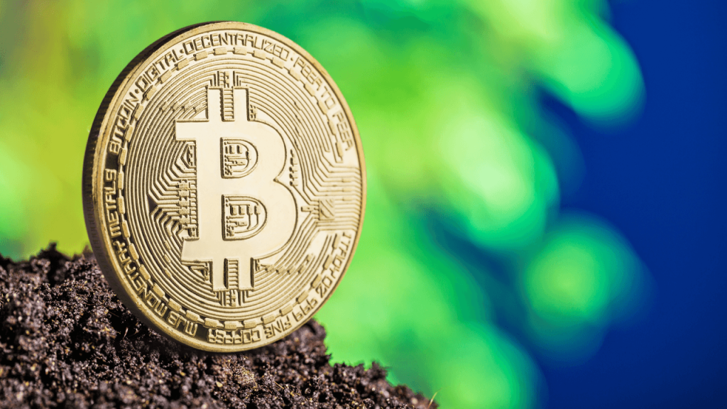 Green Bitcoin? Over 52% of Mining Now Uses Sustainable Energy