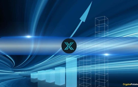 Immutable X and zkEVM NFT Sales Surge 55% in Q4 2024, But Market Participation Declines