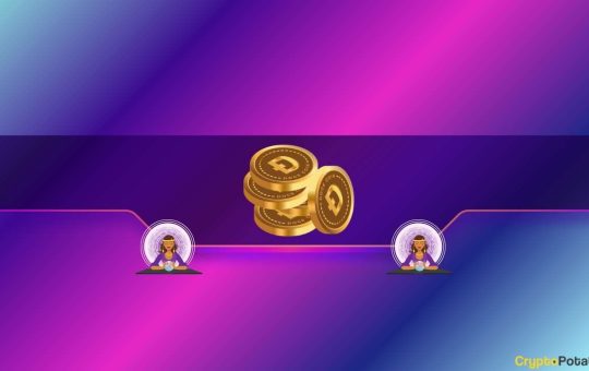 Why Dogecoin Investors Should Worry About DOGE's Price