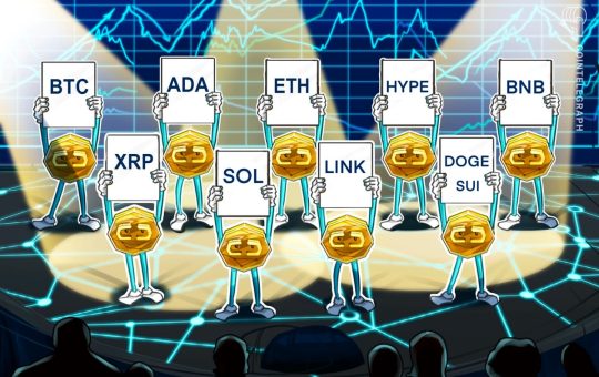 BTC, ETH, XRP, BNB, SOL, DOGE, ADA, SUI, HYPE, LINK