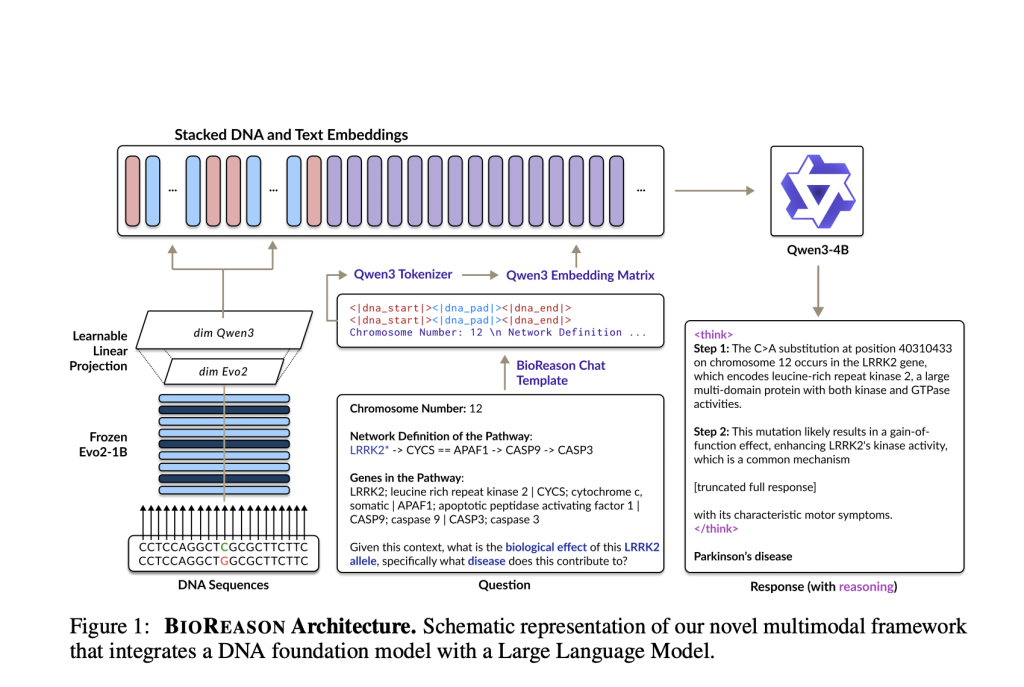 Meet BioReason: The World's First Reasoning Model in Biology that Enables AI to Reason about Genomics like a Biology Expert