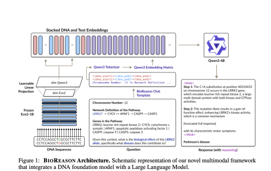 Meet BioReason: The World's First Reasoning Model in Biology that Enables AI to Reason about Genomics like a Biology Expert