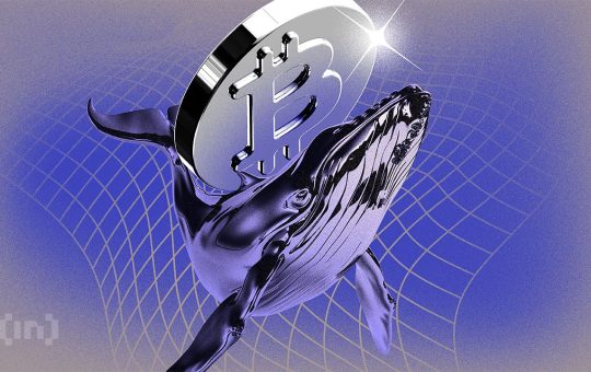 Nearly 30% of All Bitcoins Could Be Ancient by 2035 – Why Does it Matter?