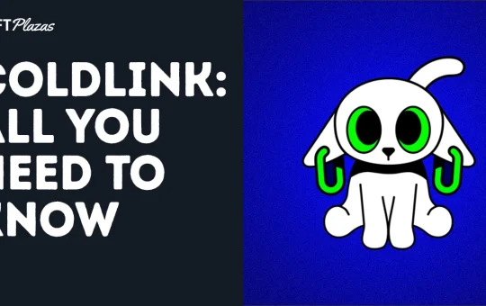 A Complete Guide to Coldlink: Your Trusted Wallet Companion