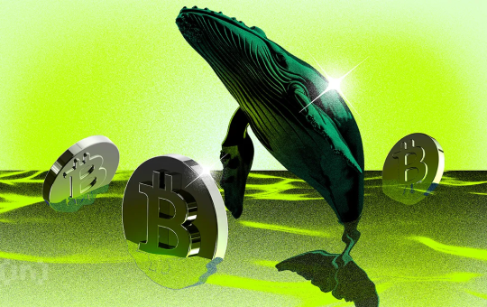Bitcoin Whales Are Potentially Driving an Altcoin Season
