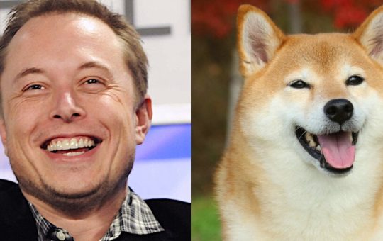 Elon Musk and Dogecoin: How the Billionaire Became the 'Dogefather'