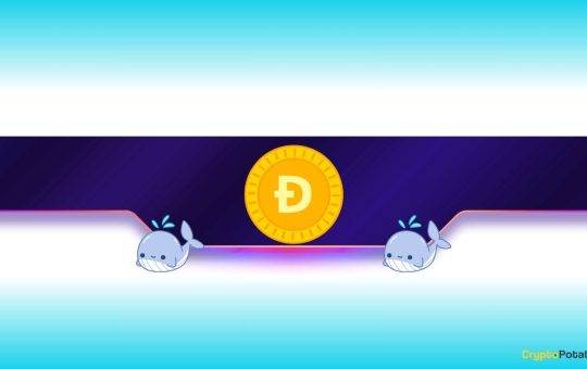 Is Dogecoin Ready to Rally After 10% Drop?