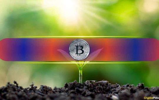 Less Than 1 BTC Might Be Enough to Retire: Here’s Why