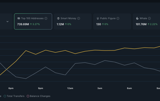 VINE price and holder momentum
