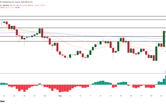 Zcash price analysis