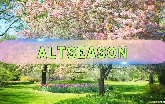 Altseason or Another False Start? Experts Split on Altcoin Market's Next Move