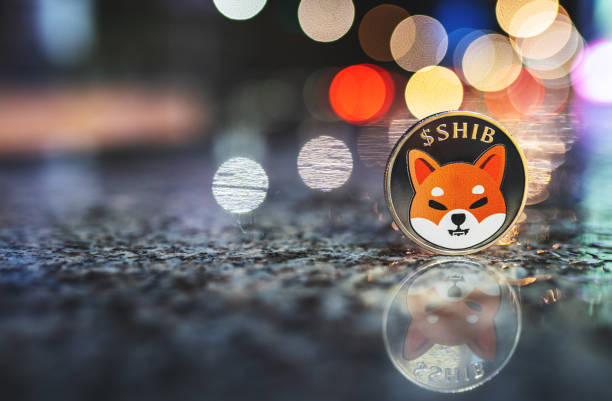 Shiba Inu