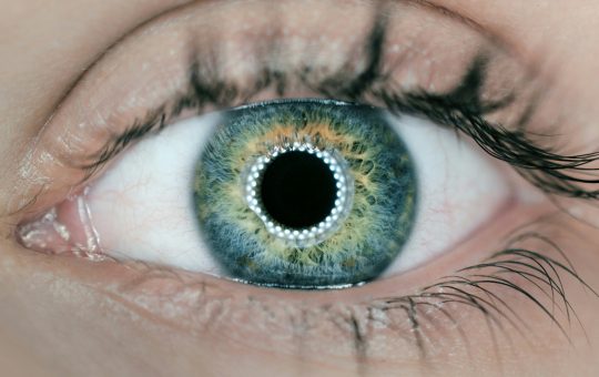 SoundHound is giving its AI the power of sight