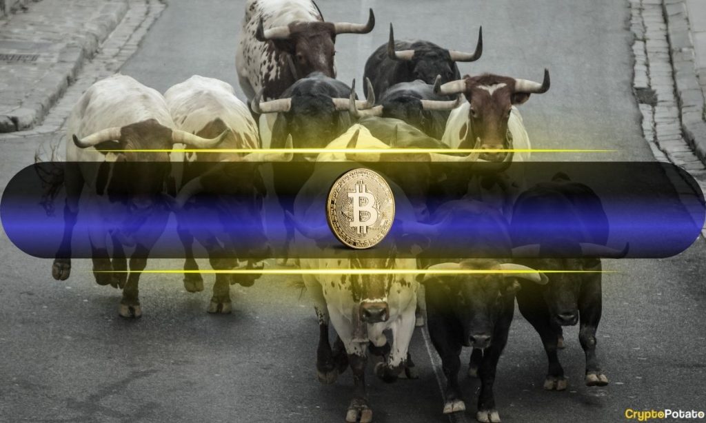 Bitcoin Price Reclaims $112K as Bull Market Sentiment Returns