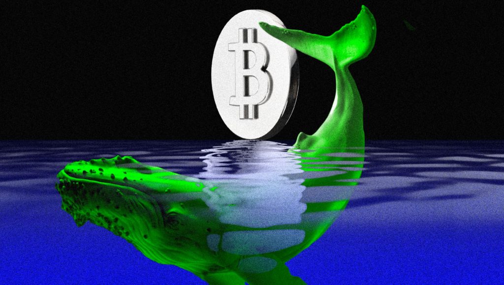 Major Bitcoin Whale Offloads $3.4 Billion