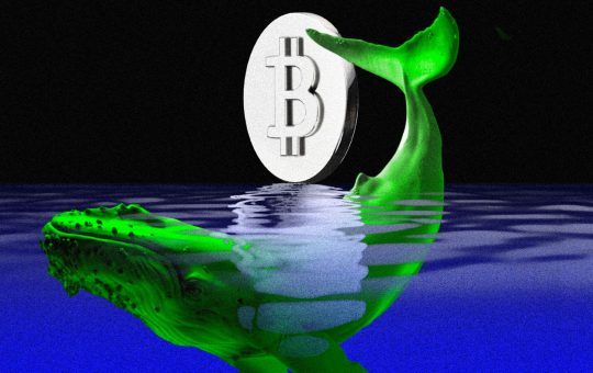 Major Bitcoin Whale Offloads $3.4 Billion