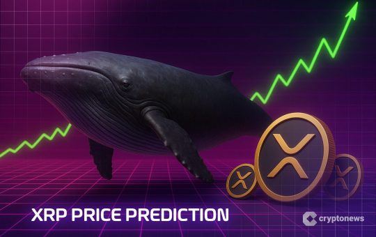 XRP Price Prediction: Whale Accumulation Hits 2-Year High – Bull Market Starting Now