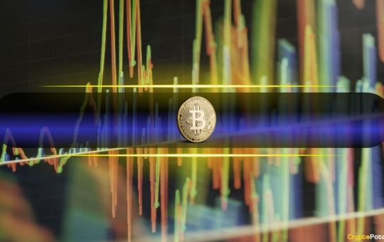 LTH Stability vs. STH Aggression Driving Bitcoin Market Volatility