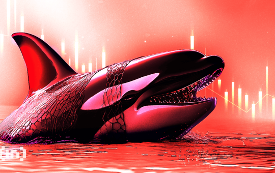 Shocking Prediction On The Next Crypto Winter and Bear Market