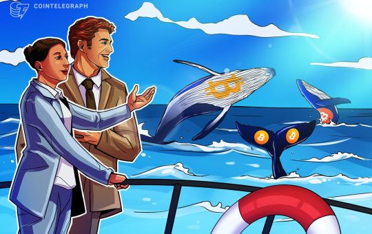 Whales Trade Bitcoin Keys for Comfort