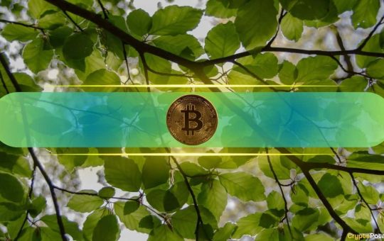 Bitcoin Targets $96K-$99K Recovery as Indices Signal Reversal