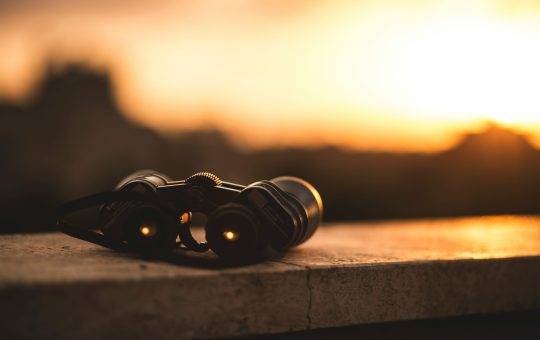 How to choose the best thermal binoculars for long-range detection in 2026