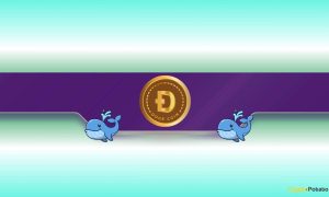 480,000,000 DOGE Snapped Up by Whales in 48 Hours: What’s Coming?