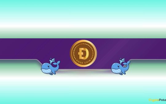 480,000,000 DOGE Snapped Up by Whales in 48 Hours: What’s Coming?