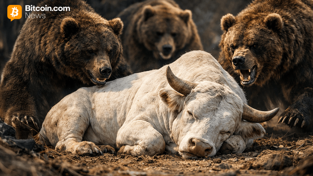 Bitcoin Price Rejection Drama: Will the $84K Safety Net Hold?