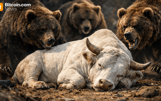 Bitcoin Price Rejection Drama: Will the $84K Safety Net Hold?