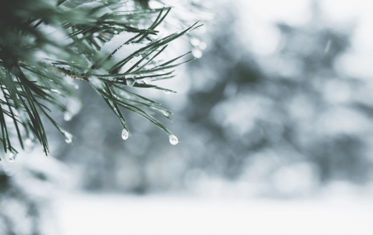 Crypto Trading Activity Hits Yearly Lows as Holiday Lull Freezes Markets