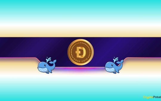 Is Dogecoin Ready to Rally?