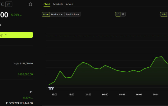 Bitcoin price performance