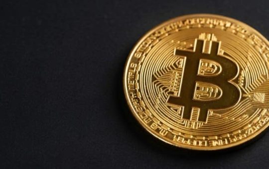 Elon Musk animates Bitcoin waifu after viral fan art request