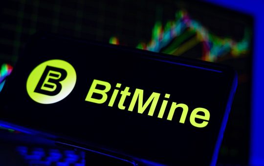 Bitmine Slows Ether Buys After Acquiring 1M ETH in 2026