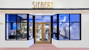 Siebert Joins Tokenized Securities Race, Selects Tzero as Infrastructure Partner