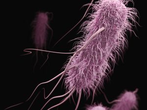 Stanford Evo 2 AI model generates phages against E. coli