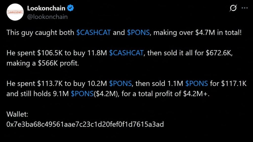 How CASHCAT and PONS Turned $220K Into $4.7M on Robinhood Chain