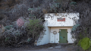 'Bunker Mode'? Crypto Experts Argue Over AI Threat to Bitcoin, Ethereum – Bitcoin News